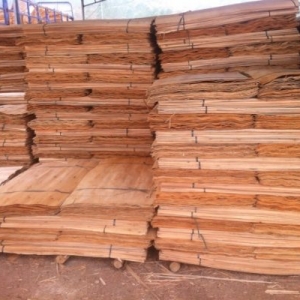 van-boc-van-lang-va-tieu-chuan-phan-loai